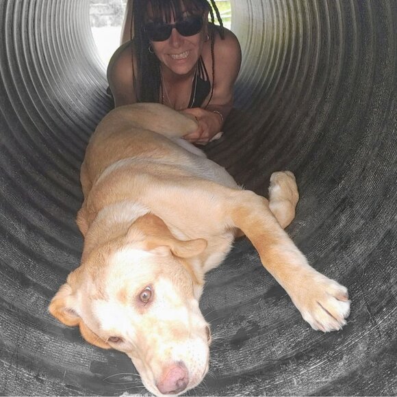 Lab Lounge Bundle - Picture 10 of 14